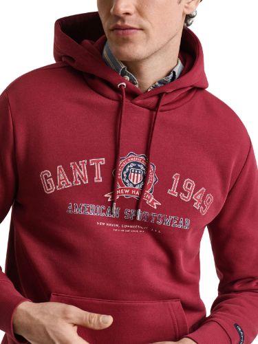 Picture of Gant | Graphic Hoodie