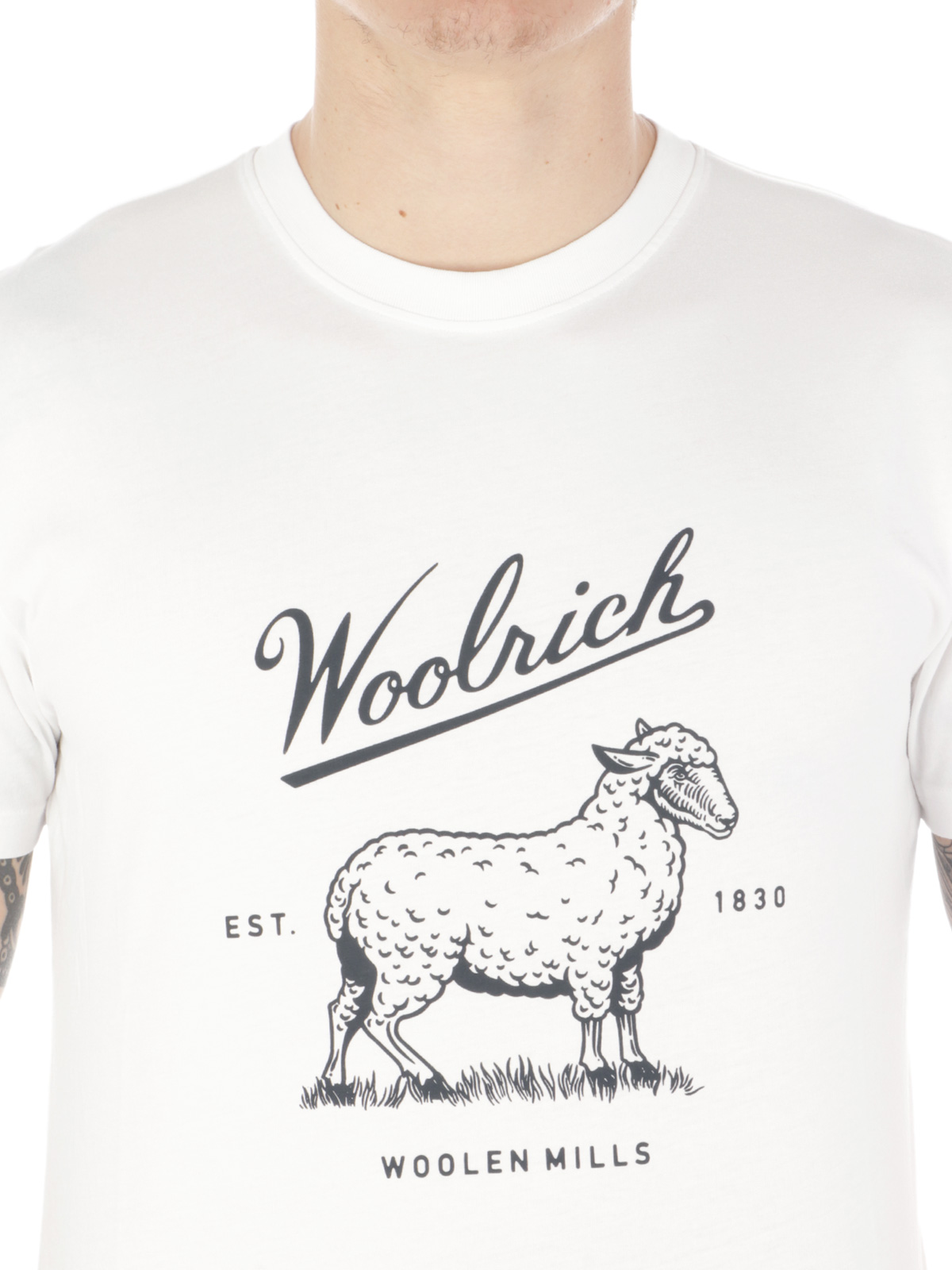 Immagine di Woolrich | T-Shirt Classic Sheep Tee
