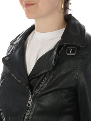 Immagine di Oakwood | Sheep Vegas