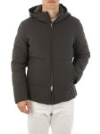Picture of MONTECORE | Men's Stretch Padded Jacket
