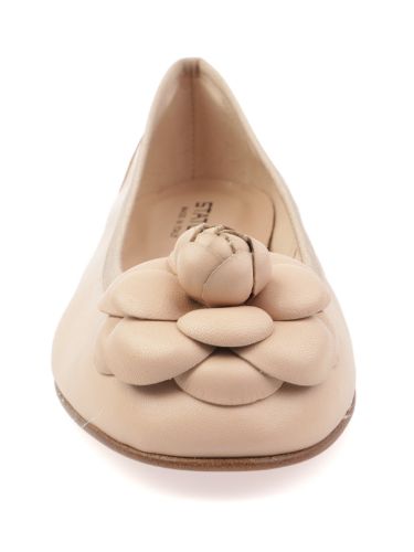 Immagine di Status | Ballerina