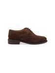 Immagine di BERWICK 1707 | Scarpa Derby Brogue Donna in Suede