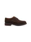 Immagine di BERWICK 1707 | Scarpa Derby Brogue Uomo in Suede