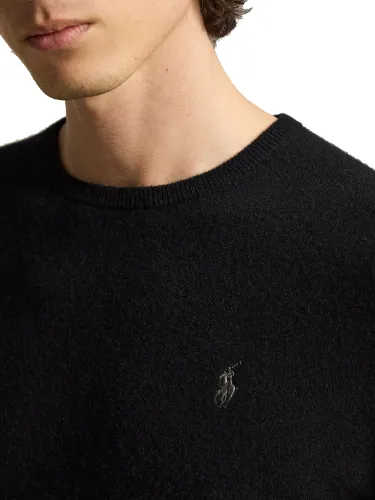Picture of POLO RALPH LAUREN | Men's Wool Pullover