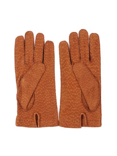 Picture of MEROLA | Men's Carpincho Suede Gloves